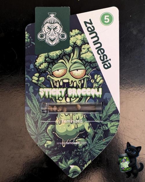 Eternity 2026. Week 0