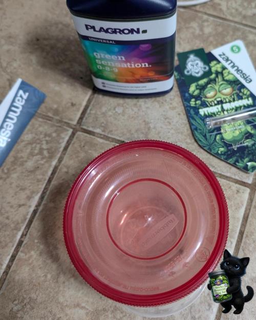 Eternity 2026. Week 0