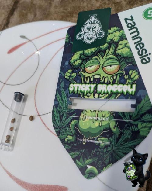 Eternity 2026. Week 0