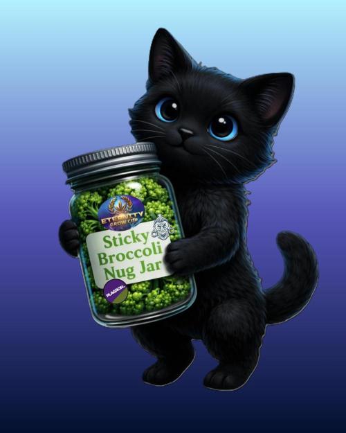 Eternity 2026. Week 0