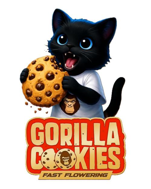 Fast Gorilla Cookies. Week 0