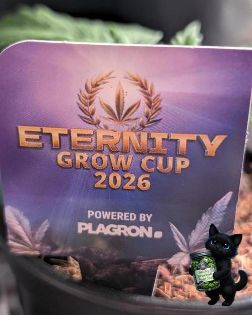 Eternity 2026. Week 2