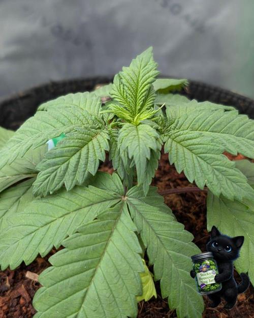 Eternity 2026. Week 3