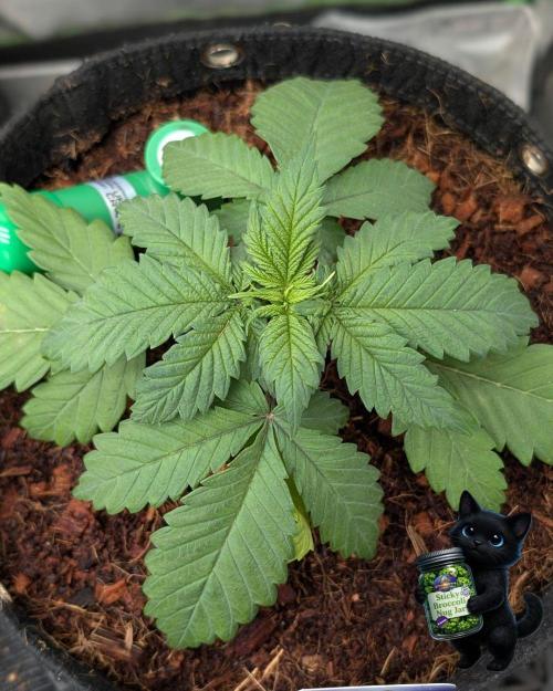 Eternity 2026. Week 3