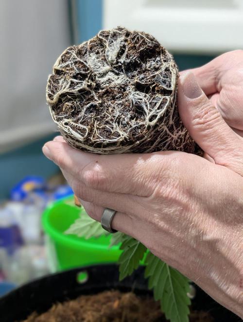 Eternity 2026. Week 3