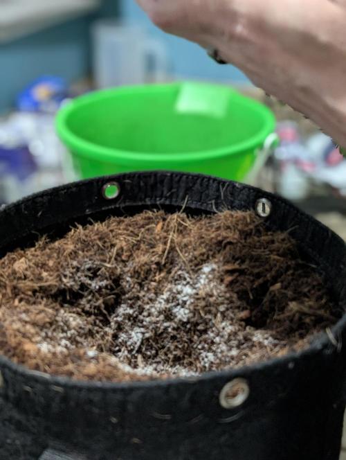 Eternity 2026. Week 3