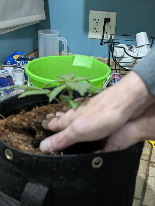 Eternity 2026. Week 3