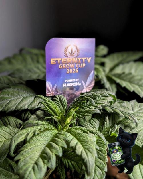 Eternity 2026. Week 5