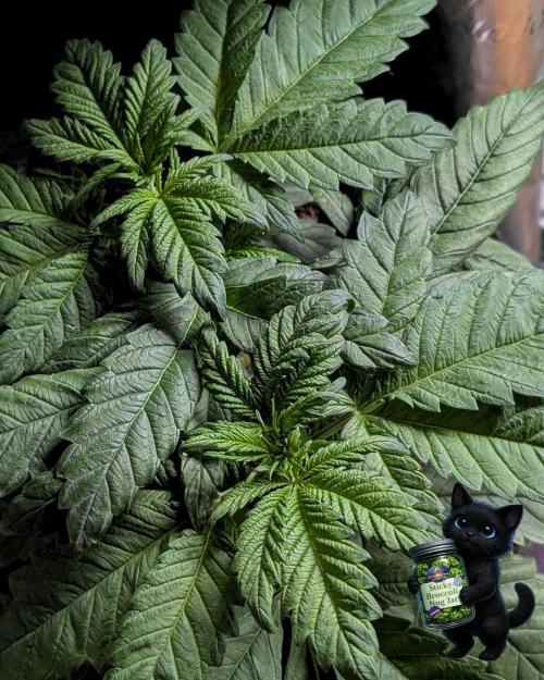 Eternity 2026. Week 5