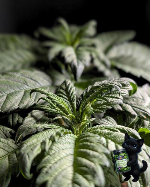 Eternity 2026. Week 5