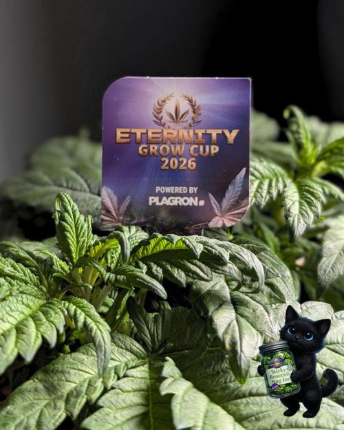 Eternity 2026. Week 5