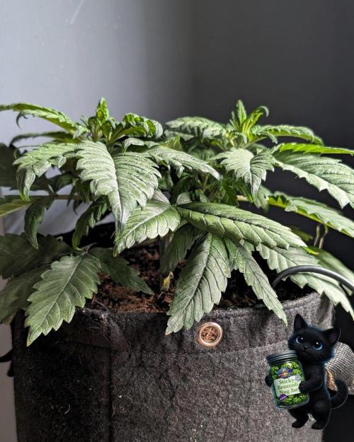 Eternity 2026. Week 5