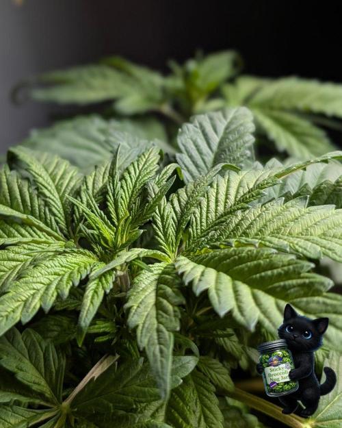 Eternity 2026. Week 6