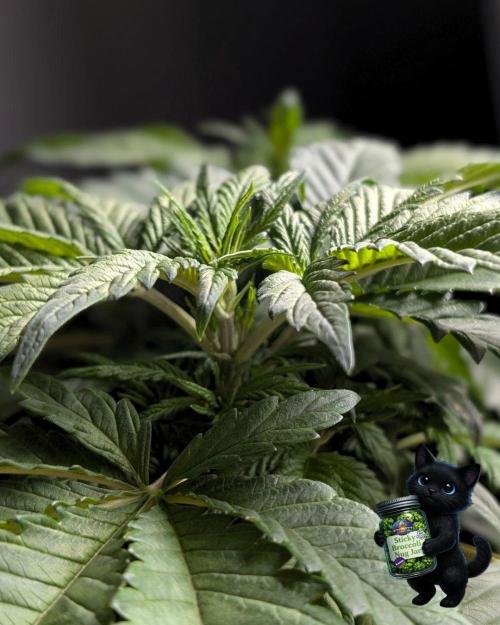 Eternity 2026. Week 6