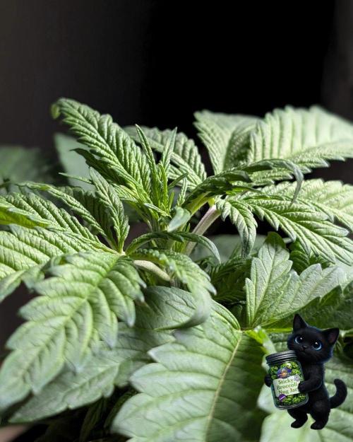 Eternity 2026. Week 6