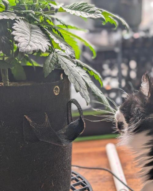 Eternity 2026. Week 6