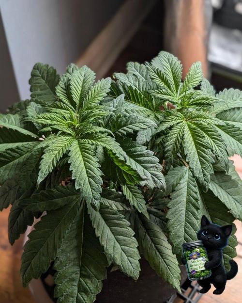 Eternity 2026. Week 6