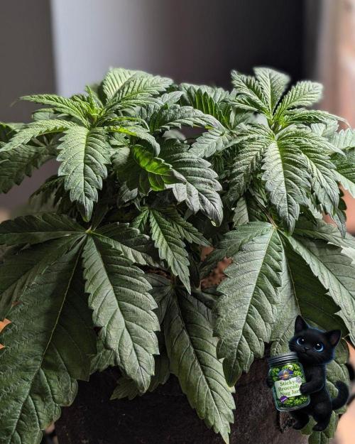 Eternity 2026. Week 6