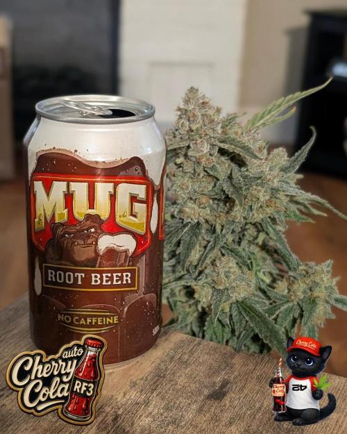 Cherry Cola RF3 to wash it down. Week 12