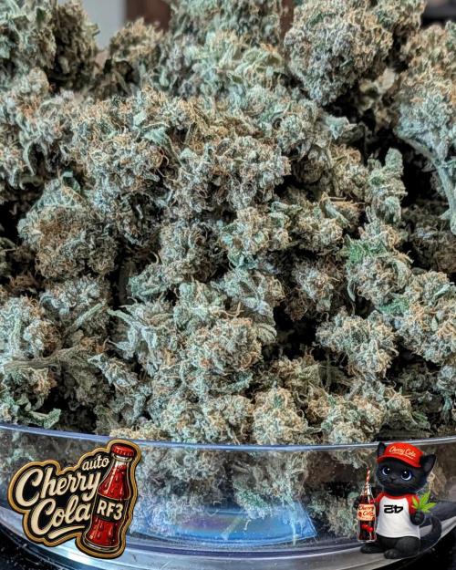 Cherry Cola RF3 to wash it down. Week 12