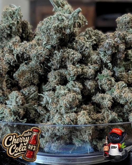 Cherry Cola RF3 to wash it down. Week 12