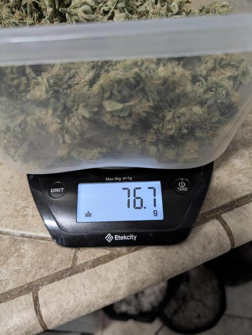 Fast Gorilla Cookies. Week 18