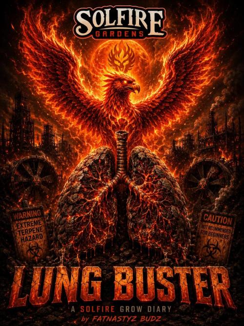 Lung Buster. Week 1