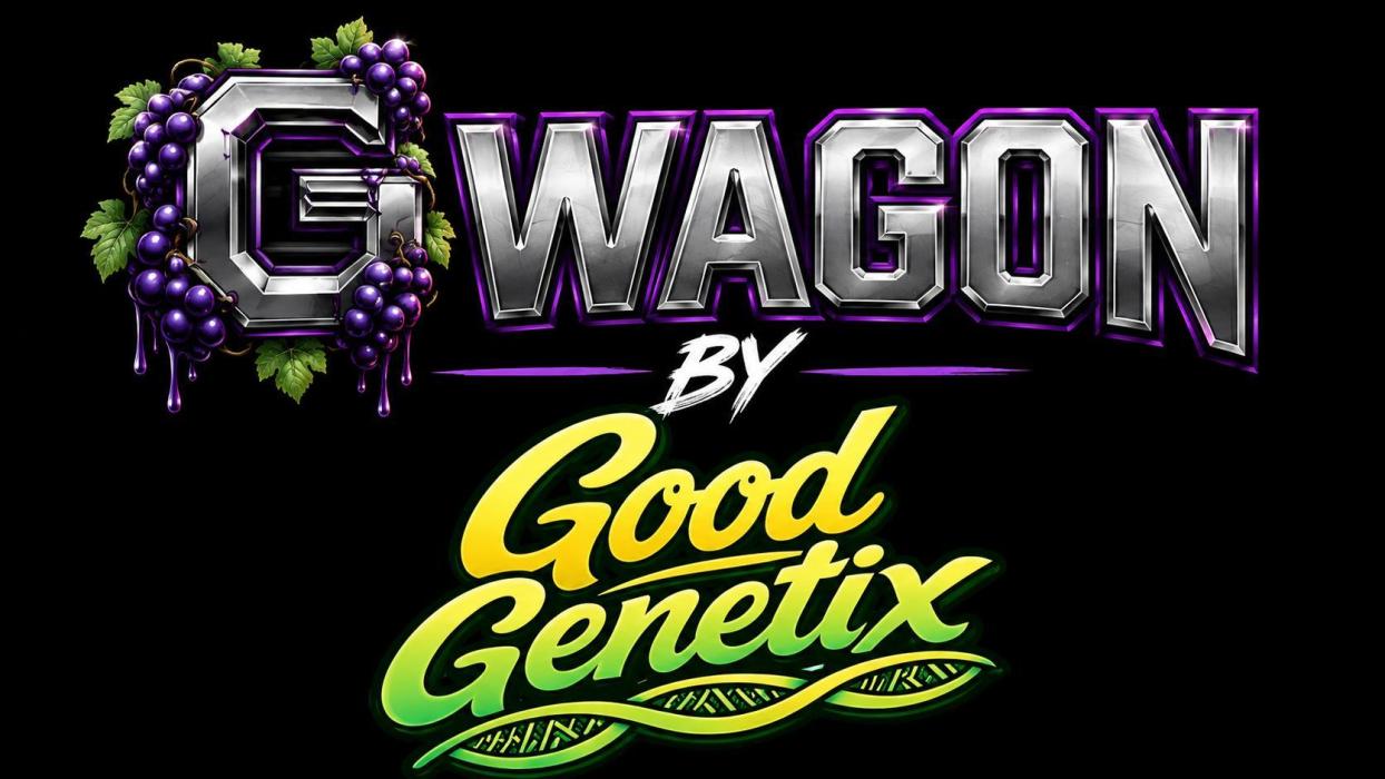 G Wagon. Week 0