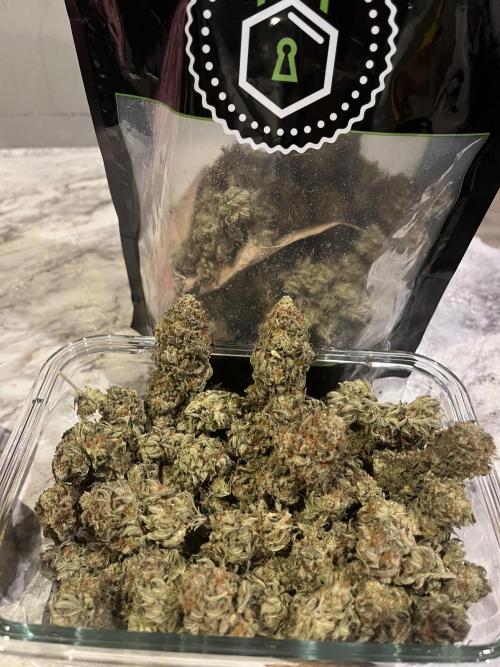 MY FIRST MAINLINE. Week 12