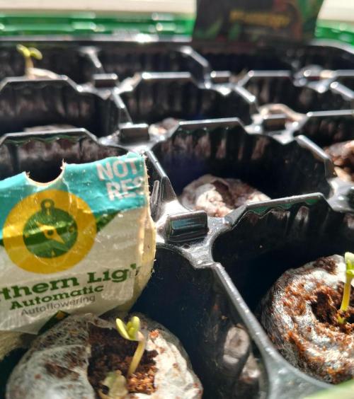 Outdoor guerrilla Finland 26. Week 0