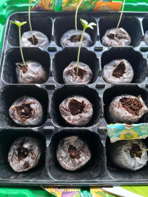 Outdoor guerrilla Finland 26. Week 0