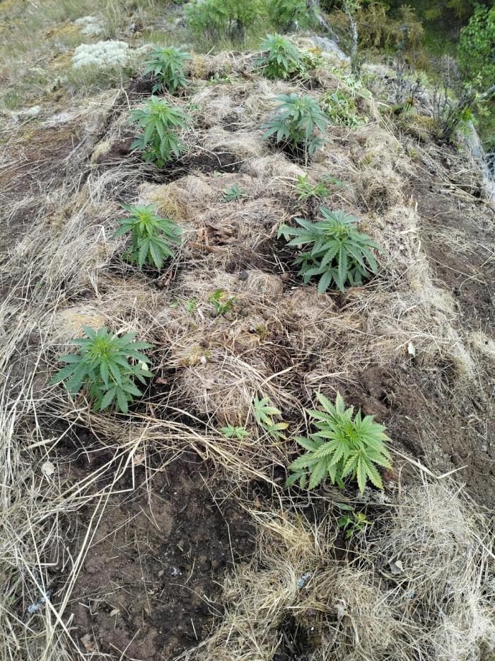 Outdoor guerrilla Finland 26. Week 5