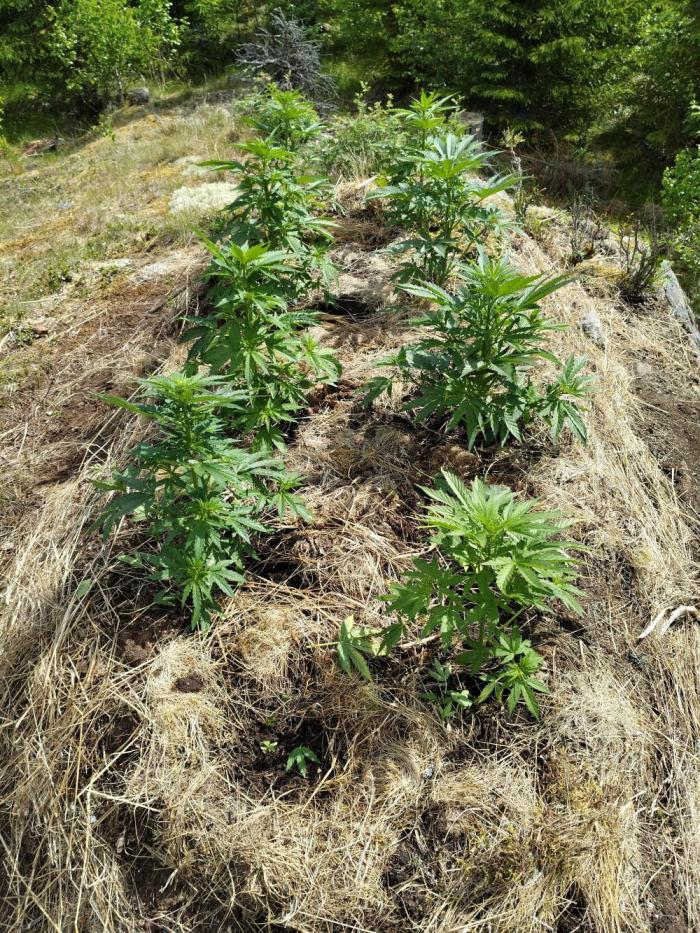 Outdoor guerrilla Finland 26. Week 6