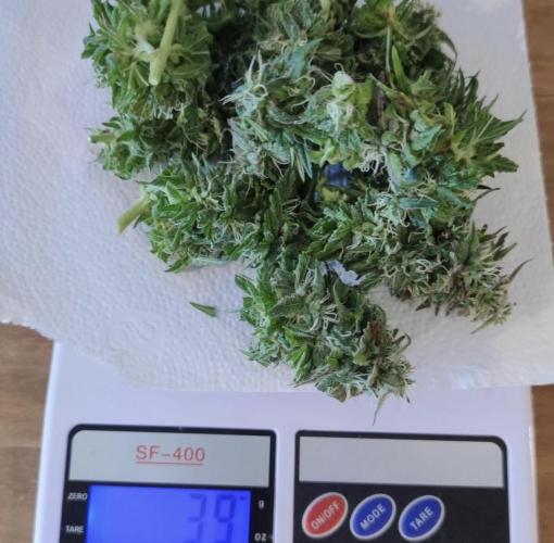 Jack / Durban PC. Week 15 - .