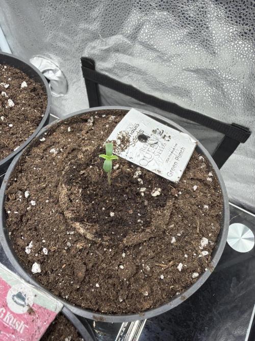 Round 3 RQS. Week 0