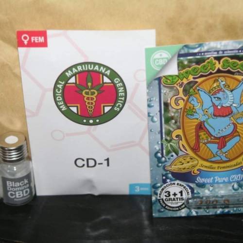 Candida CD-1. Week 1