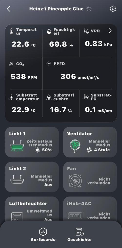 Auto Pineapple Glue. Week 2