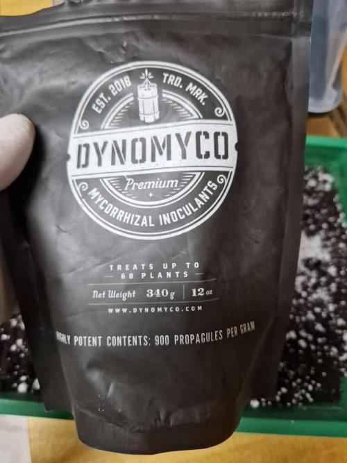 Apples Bananas n Peaches. Week 0