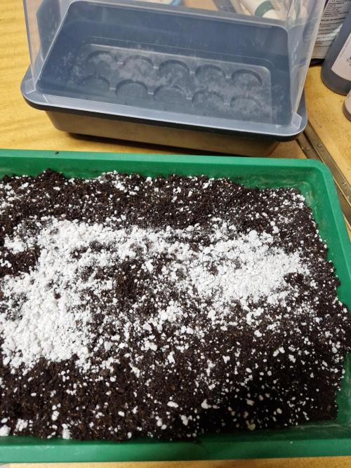 Apples Bananas n Peaches. Week 0