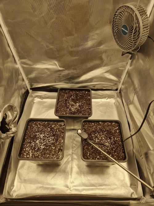 Poison. Week 0