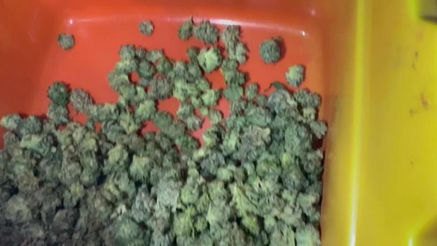 Electroculture Valley Grow