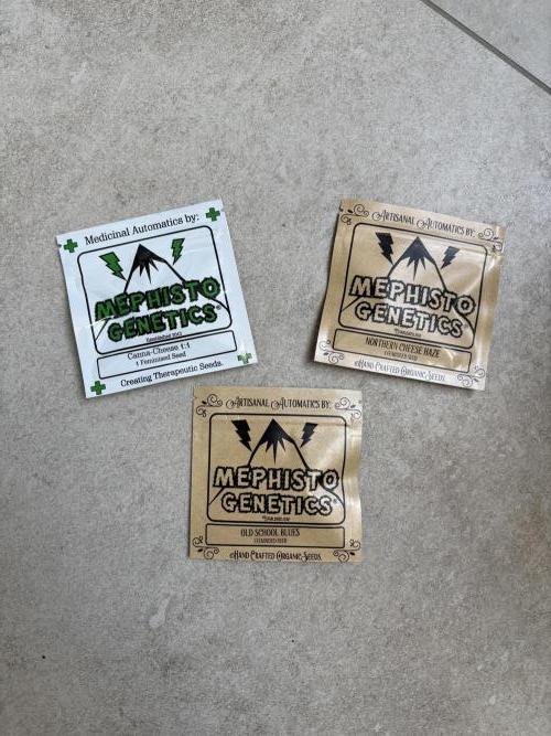 Mephisto Outdoor Sativas. Week 0 - Seeds