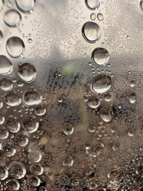 505 Headbanger. Week 1