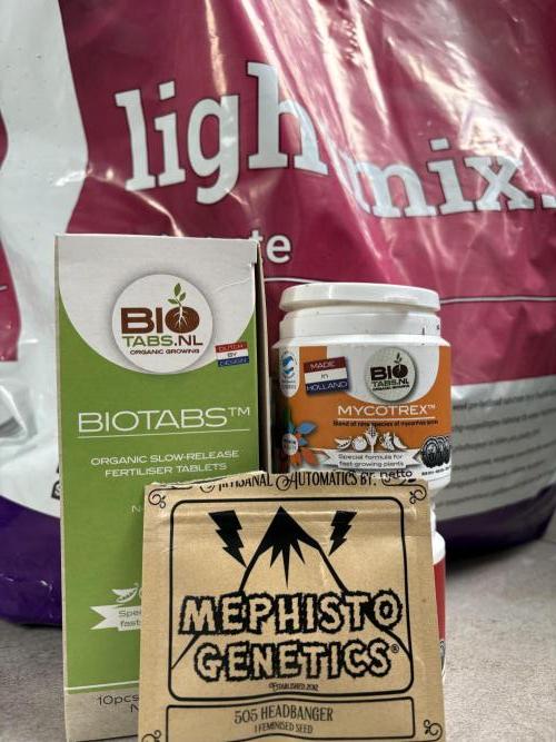 505 Headbanger. Week 0 - This rounds gear