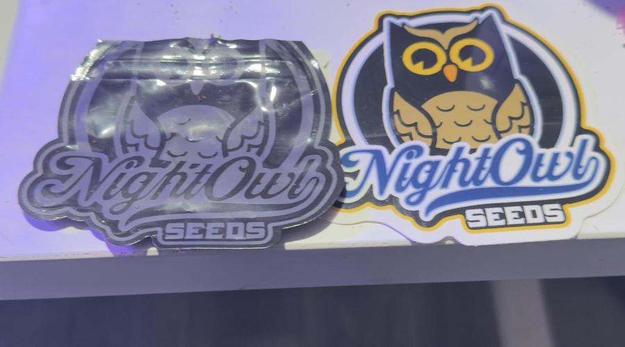 Tropical Popesicle. Week 0 - NIghtOwl Seeds