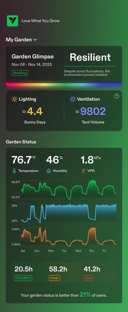 Tropical Popesicle. Week 1 - enviroment