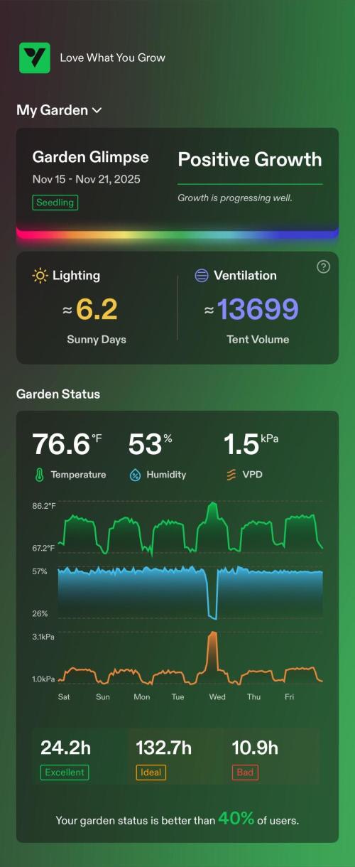 Tropical Popesicle. Week 2 - Enviroment