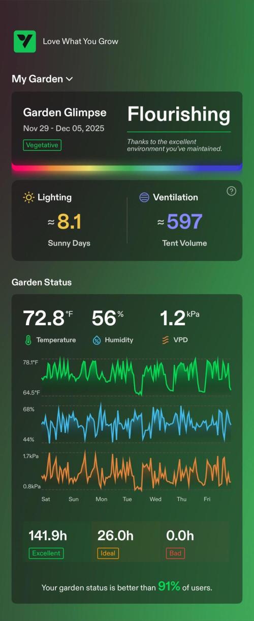 Tropical Popesicle. Week 4 - enviroment