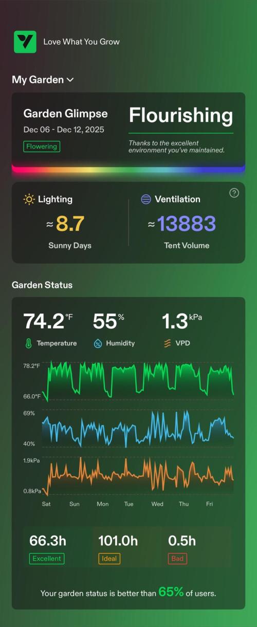 Tropical Popesicle. Week 5 - Enviroment