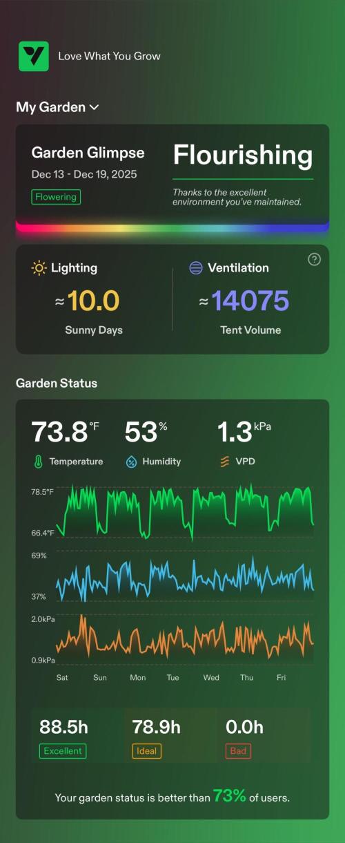 Tropical Popesicle. Week 6 - enviroment